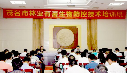 Ӵ󞳅^(q)֘I(y)кΌ(zhun)(xing)W(xu)(x)Ӗ(xn)